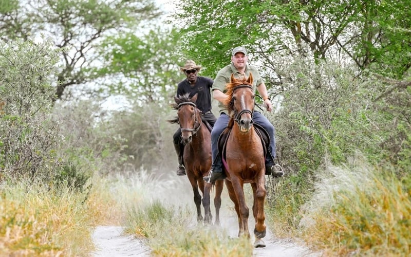 Stay Longer For Less at Feline Fields Lodge Kalahari Desert